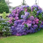 Luarca Zabala 2*