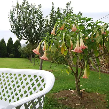 Hotel Luarca Zabala Almuña